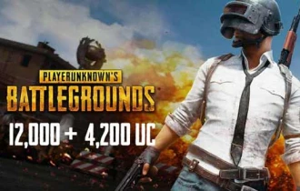 PUBG Mobile 12000+4200 UC